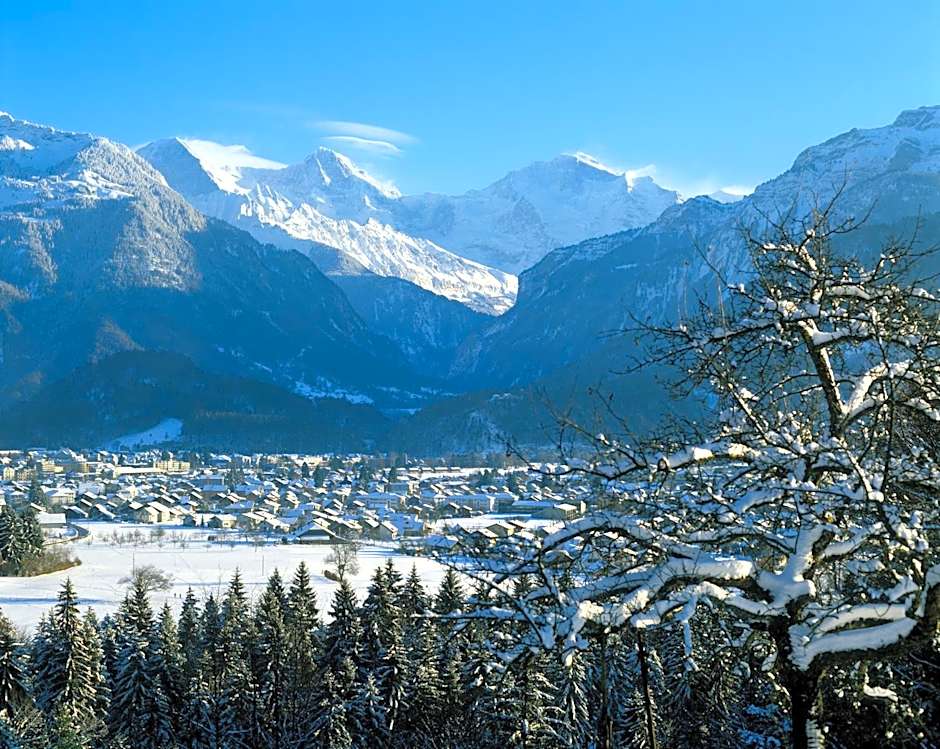 Jungfrau Hotel