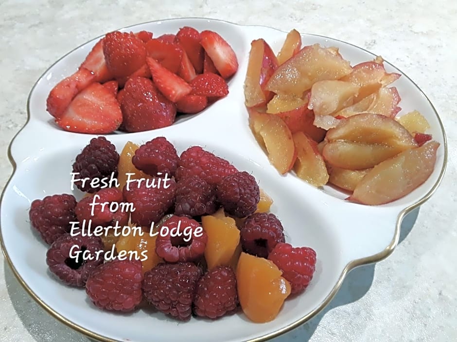 Ellerton Lodge Bed and Breakfast Swaledale