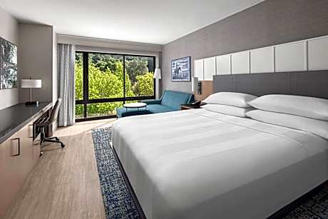 King or Double Room