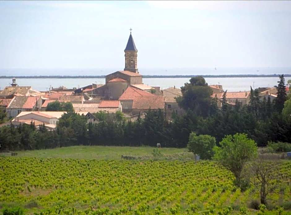 Gîte Le Muscat L'Escapade Des Flamants Roses