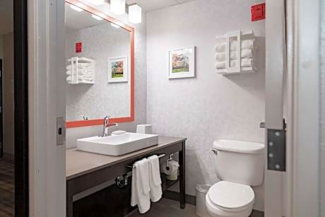 1 King Mobility/Hearing Acc Ri Shower