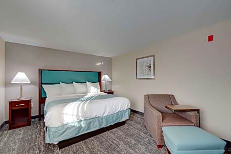 One-Bedroom King Suite with Sofa Bed