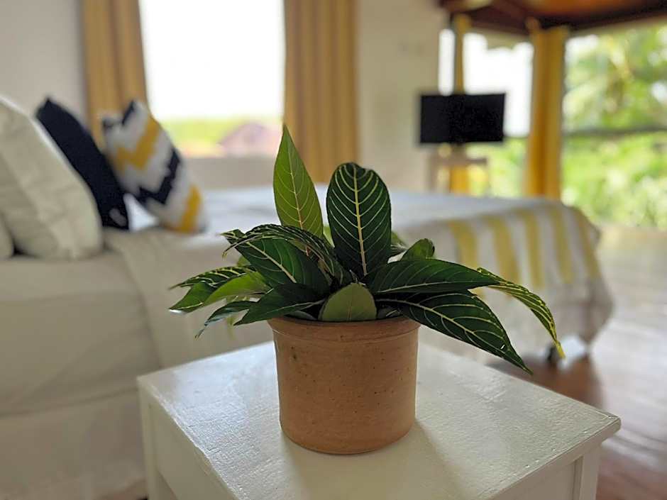 Departamento Dos reis