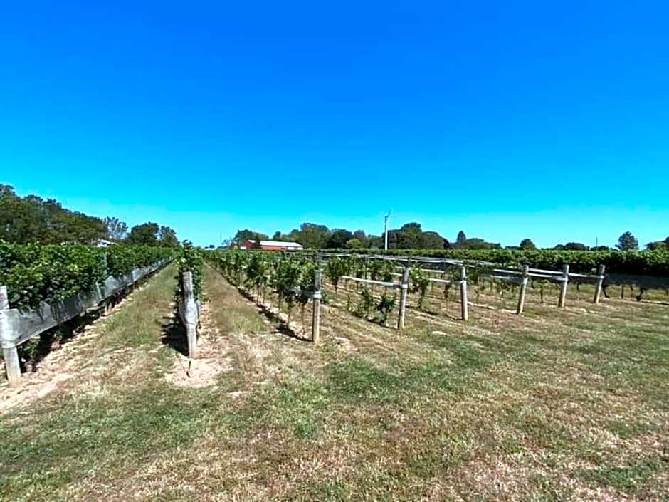 Holiday Inn Express Windsor Waterfront By IHG