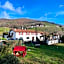Manexenea