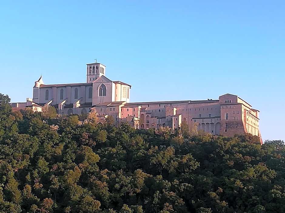 La Casa Tra Gli Ulivi