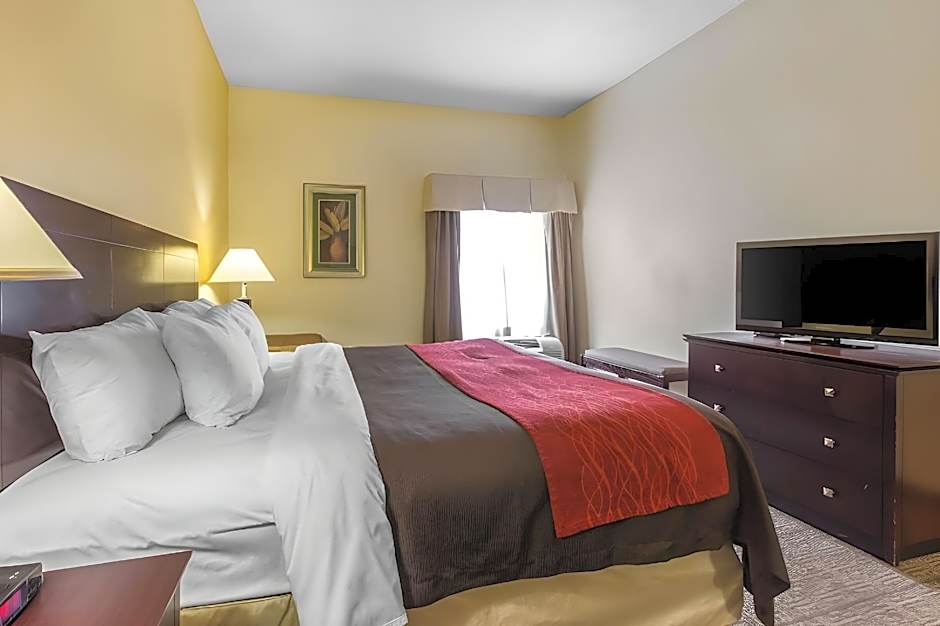 Comfort Inn & Suites Thomson