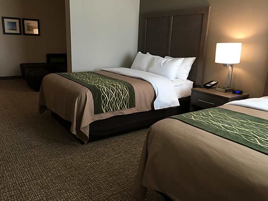 Comfort Inn & Suites Snyder