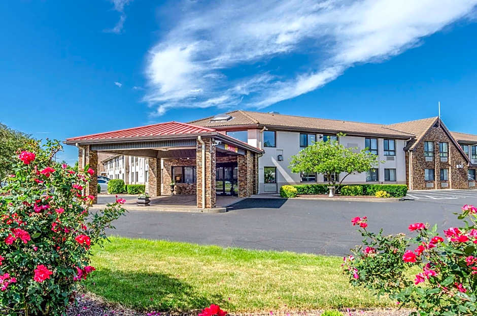 Comfort Inn & Suites West Springfield