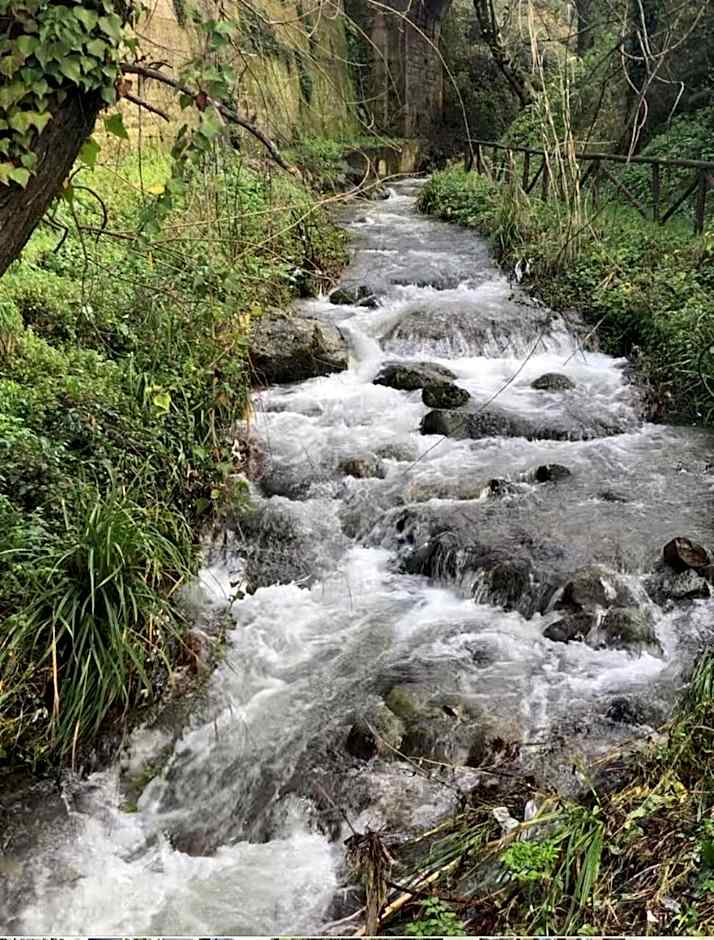 villa ascosa residence