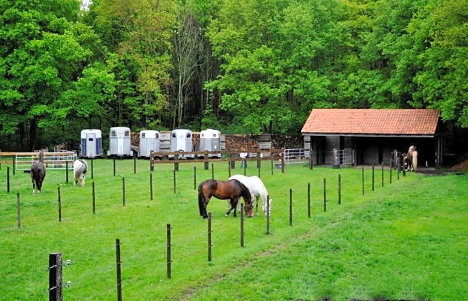 B&B De Edelsteen