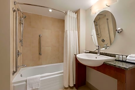 Studio Premium Queen Bed