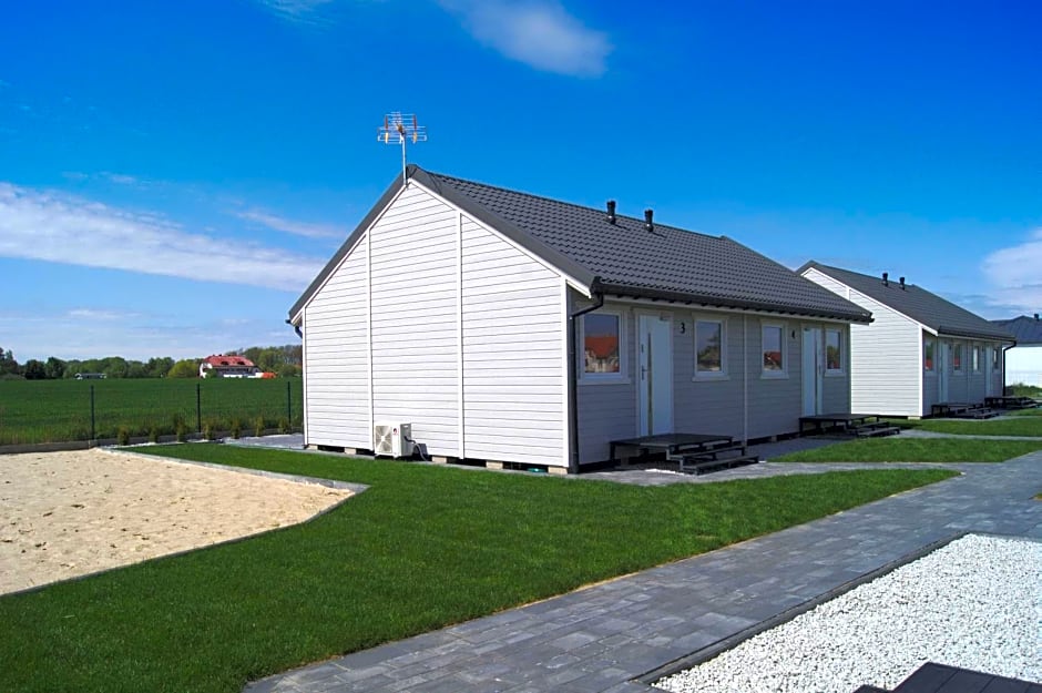 Szara Gąska w Gąskach