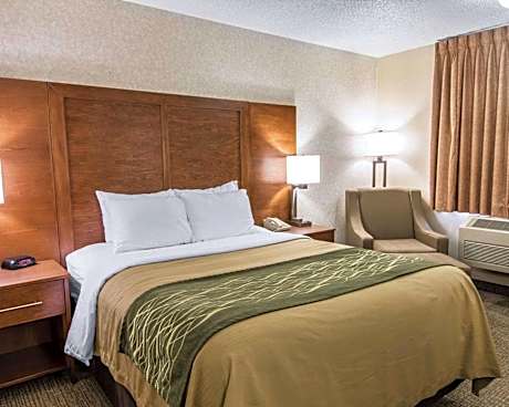 Queen Room - Accessible/Non-Smoking