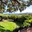 Domus Olivarum - Costa Smeralda 6 guest, 3 room, 2 bathroom, 2 parking Wifi