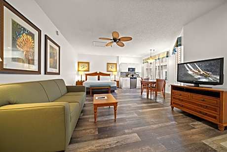 1 King Premium Sofa Bed