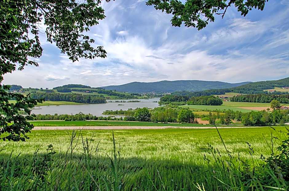 Hotel Gasthof Altmann