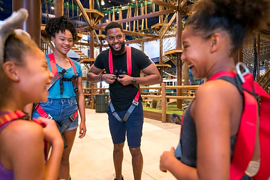 Great Wolf Lodge Arizona