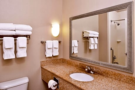 1 King Bed, Suite, Nonsmoking, Accessible