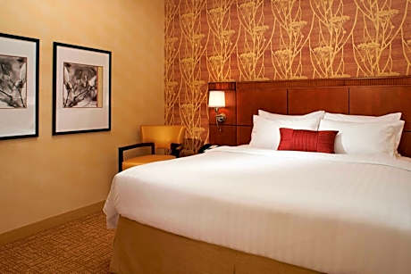 One-Bedroom King Suite