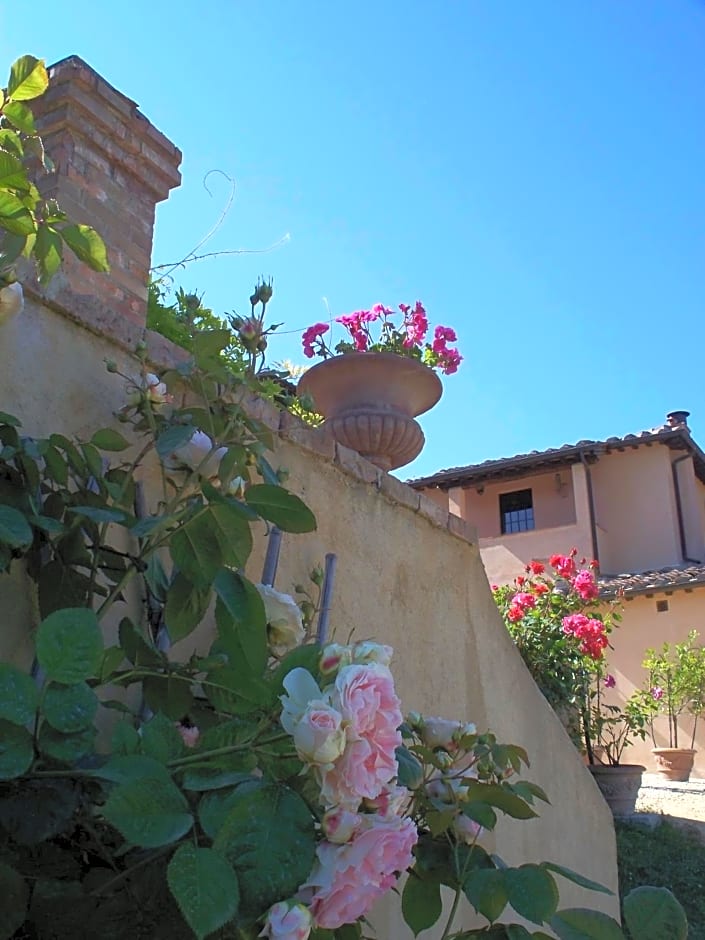 Torraccia di Chiusi Agriturismo Relais