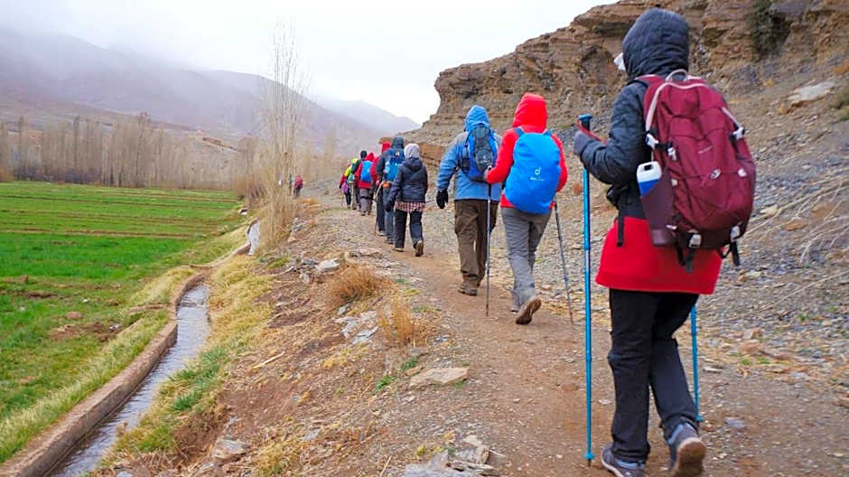 Complexe Collier D' Ambre