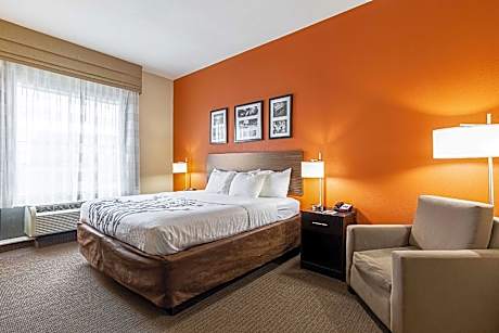 1 King Bed, Nonsmoking