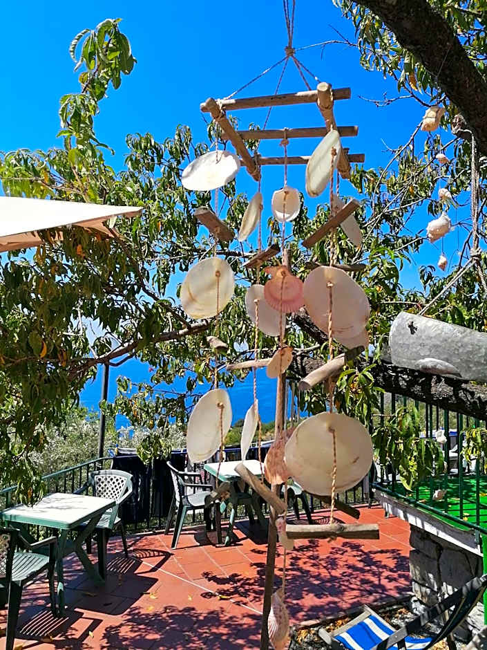 Perla del Levante Hostel