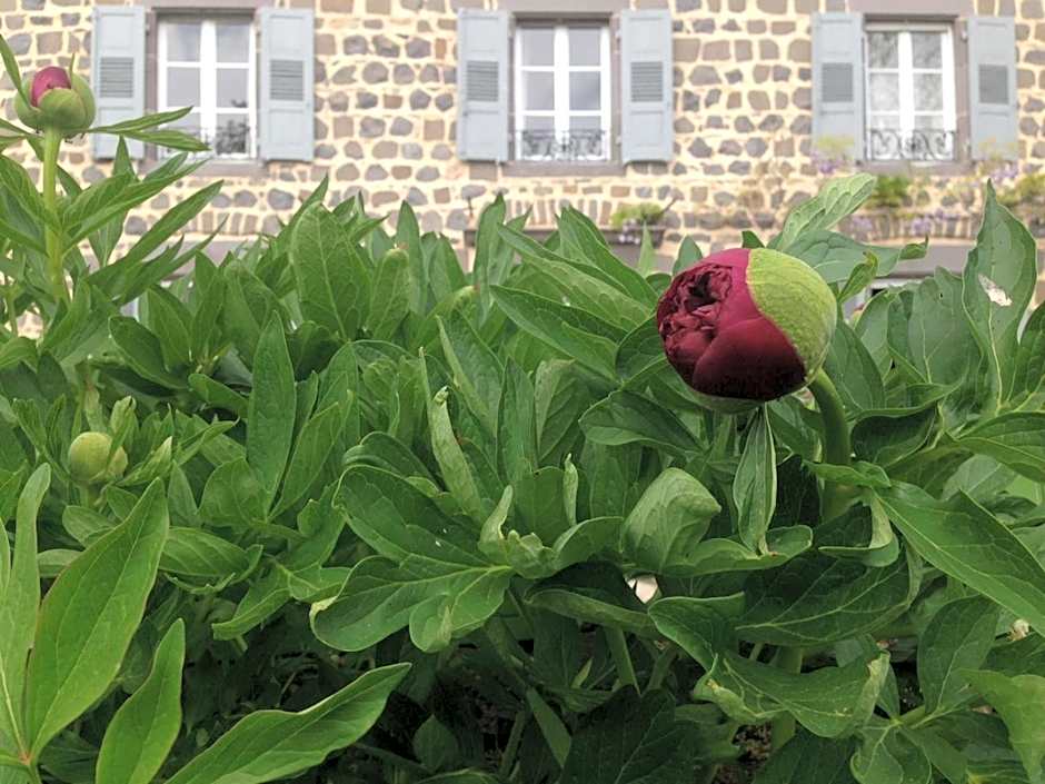 Les Jardins d'Anna - Chambres d'hôtes