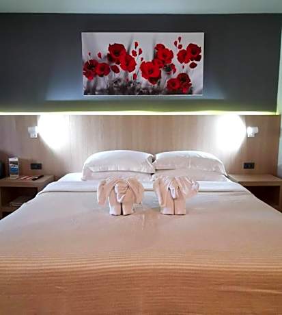 Premium Plus Double or Twin Room
