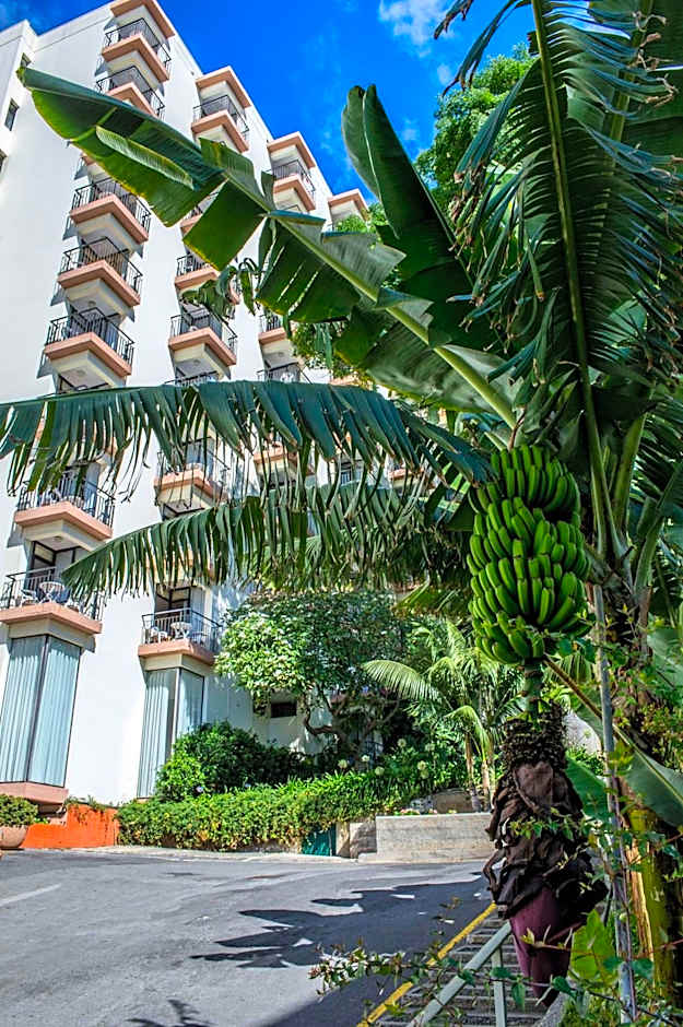 Dorisol Mimosa Studio Hotel