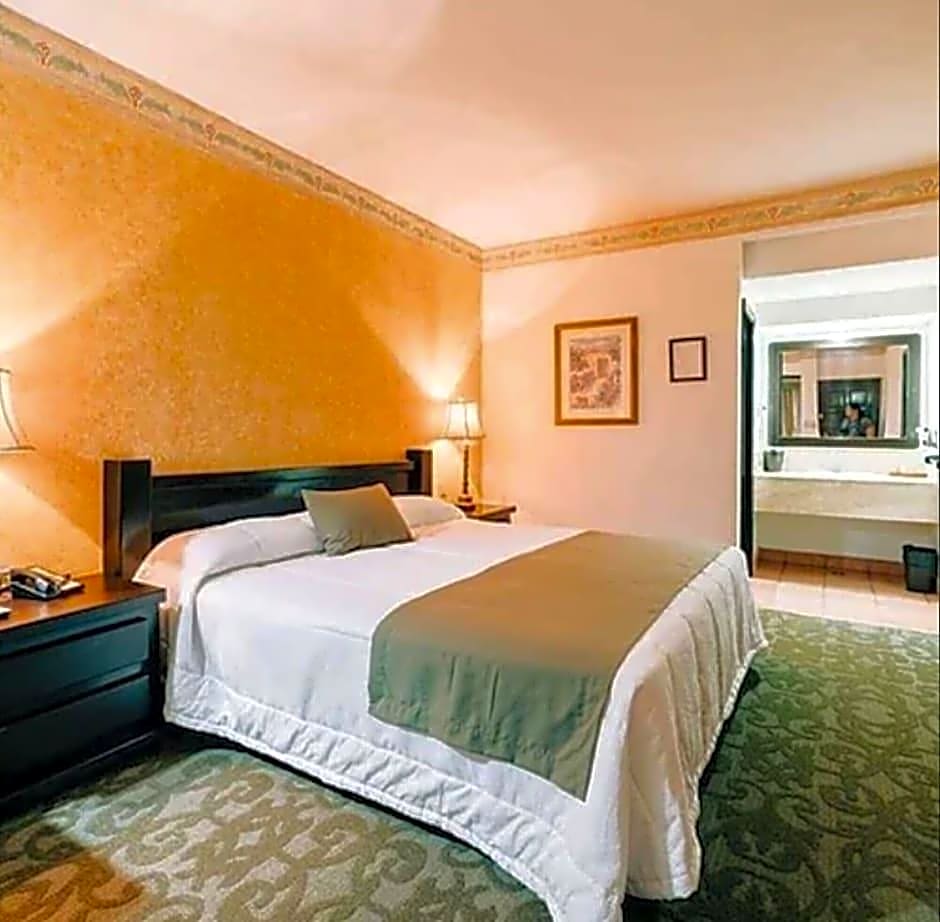 Hotel Suites el Paseo