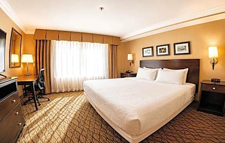 Deluxe King Room - Non-Smoking