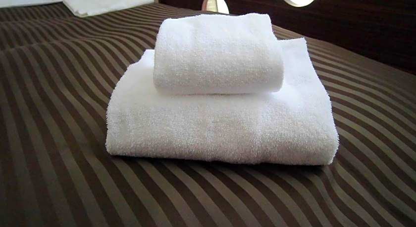 Hotel Promote Hakodate