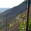 Weingut Weich