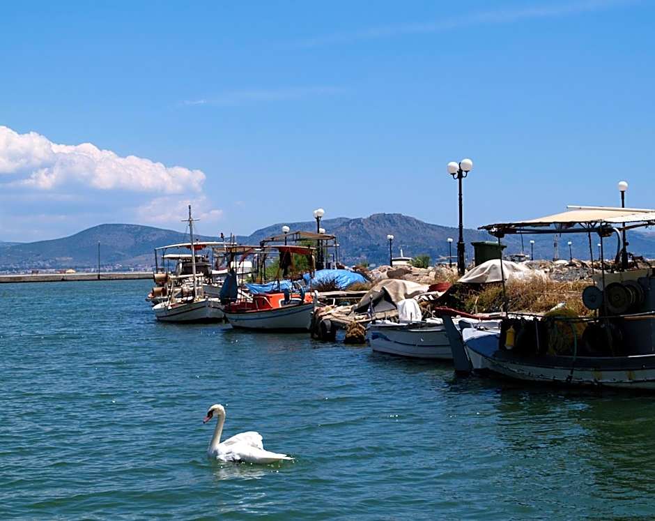 Argo Apartments near Nafplio