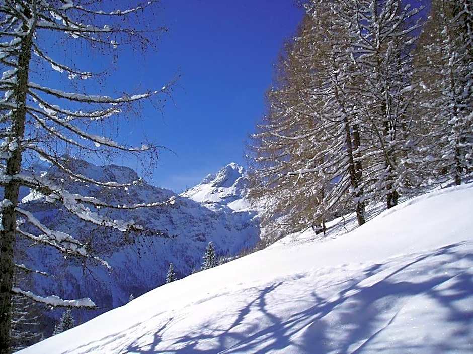 Berggasthof-Ferienbauernhof Habersatt