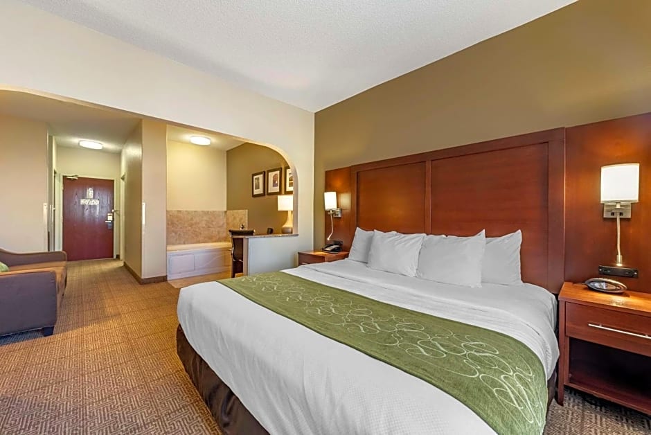 Comfort Suites Castle Rock