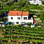 In Vino Veritas B&B