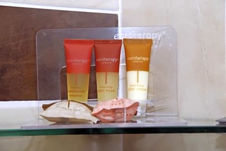 2 Twin/Single Bed(s)