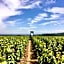 Domaine Joseph LAFARGE Wine Resort B&B