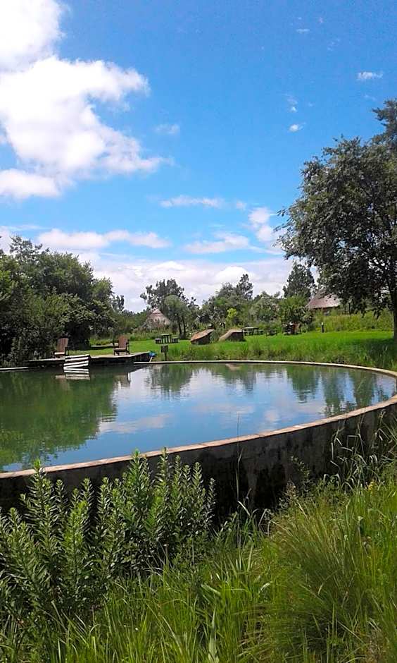 Drakensberg Inkosana Lodge