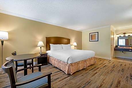 Kitchenette Room with King Bed
