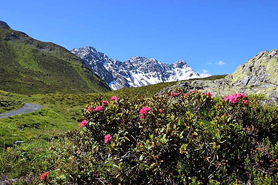 Hotel Hohe Promenade