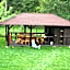 Vila Carpathia