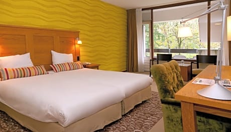 Standard double room with balcony or terrace