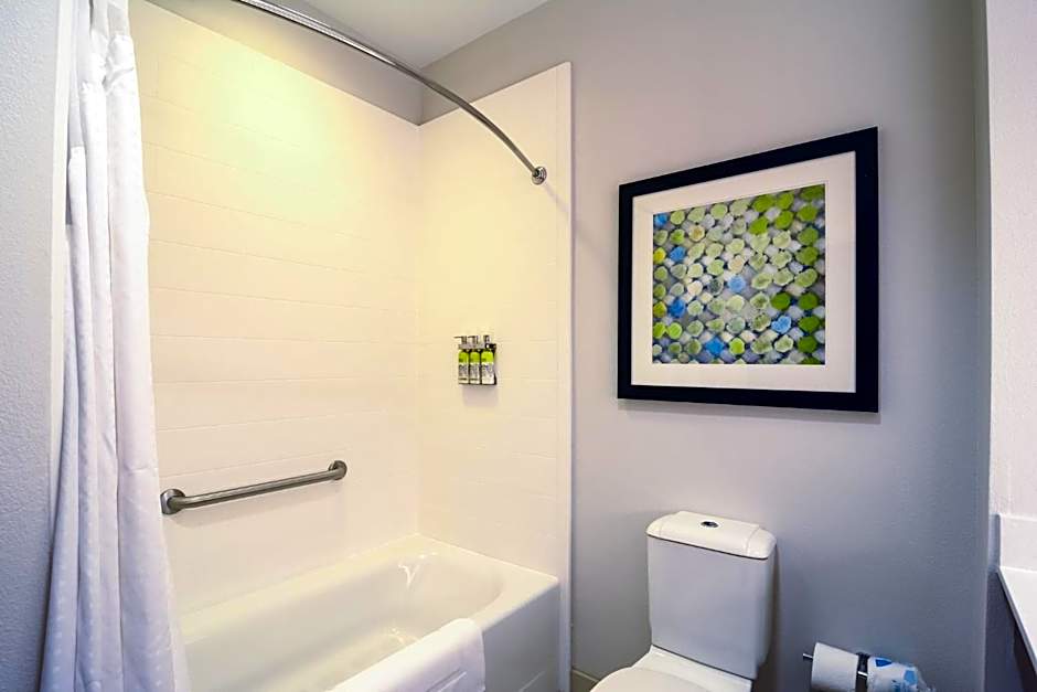 Holiday Inn Express Hotel & Suites Tampa-USF-Busch Gardens By IHG