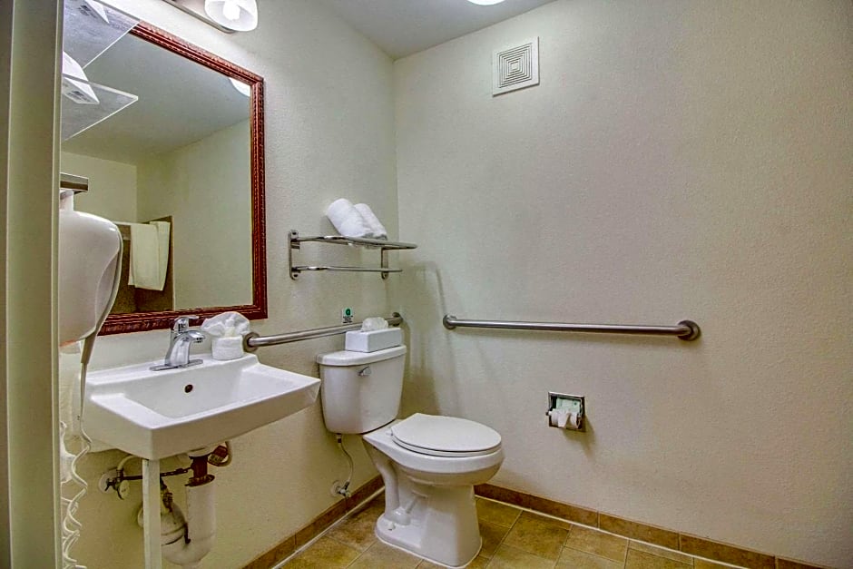 Mainstay Suites Texas Medical Center/Reliant Park