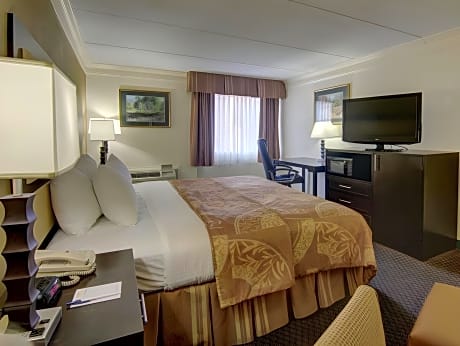 King Room - Non-Smoking