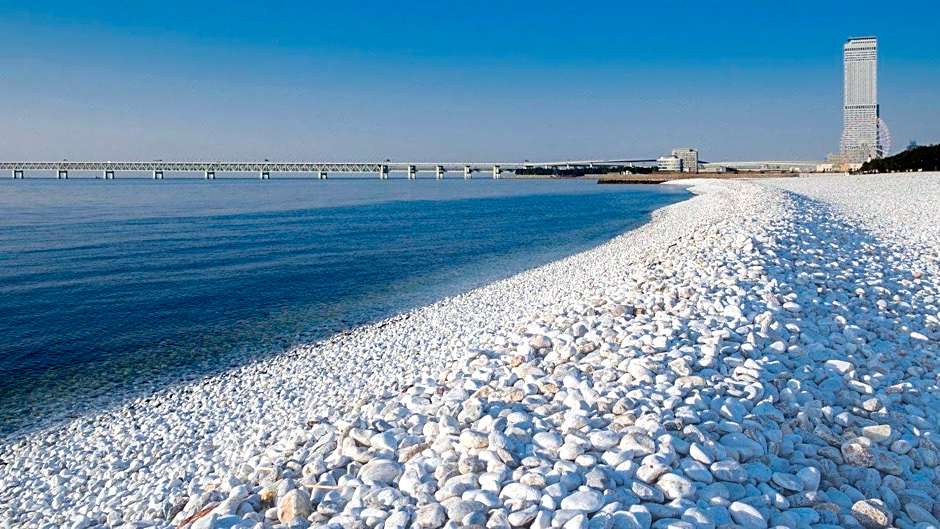 The Premium Hotel In Rinku